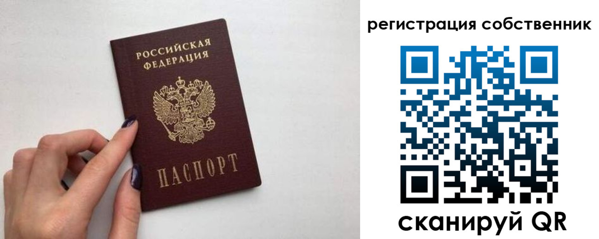 временная регистрация для всех в Амурской области